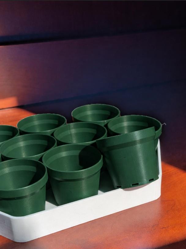 Mini Herb Garden Starter Kit