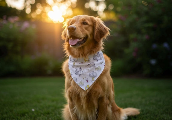 Personalized Winnie the Pooh Dog Bandana