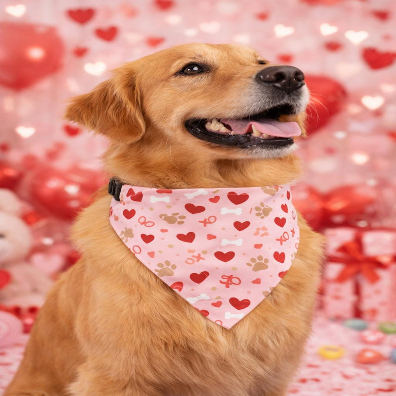 Personalized Valentine's Day Dog Bandana